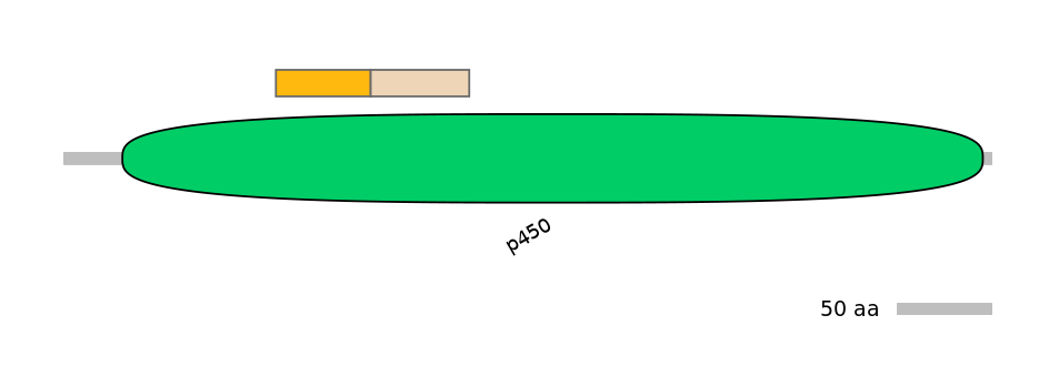 HsaINT0044337-EXC