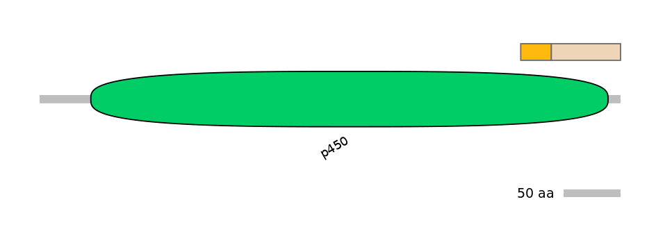 HsaINT0044444-EXC