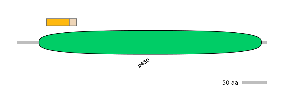 HsaINT0044445-EXC