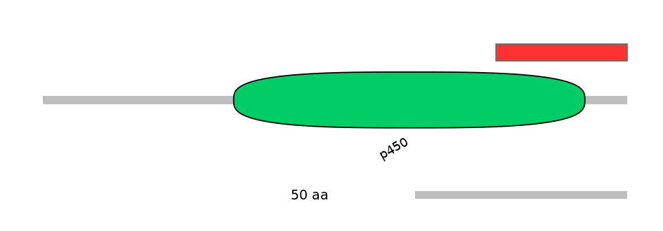 HsaINT0044446-INC