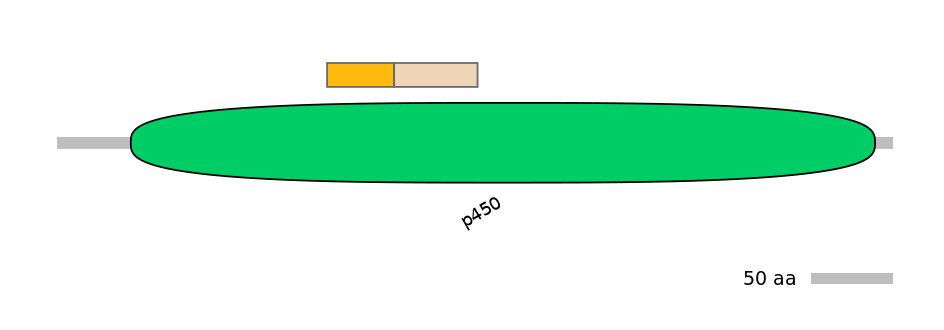 HsaINT0044448-EXC