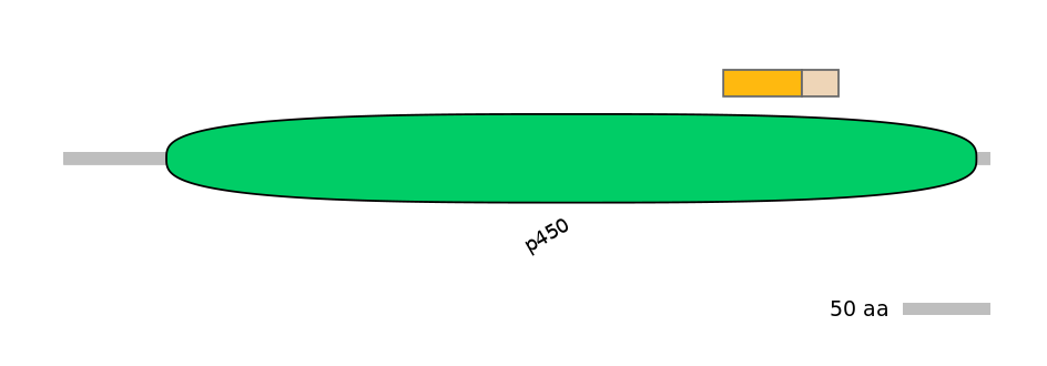 HsaINT0044490-EXC