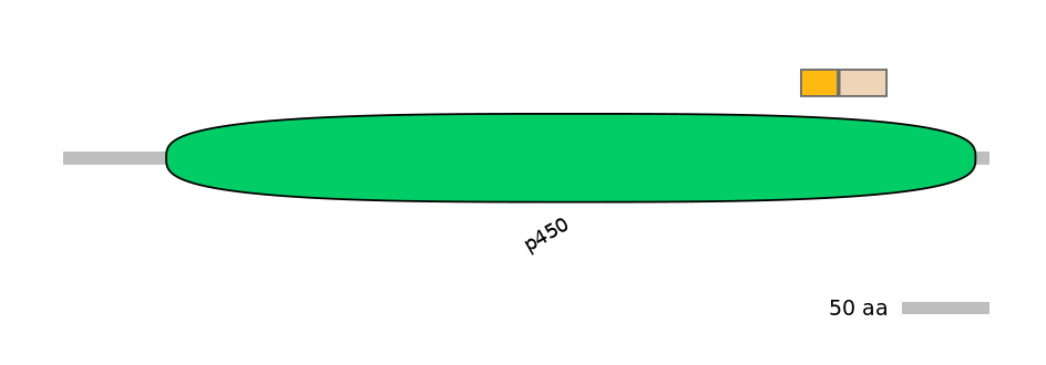 HsaINT0044491-EXC