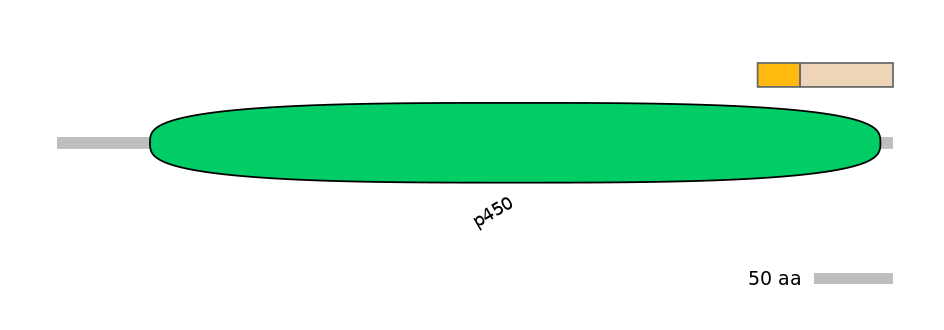HsaINT0044492-EXC