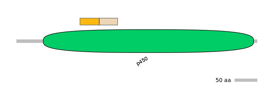 HsaINT0044497-EXC