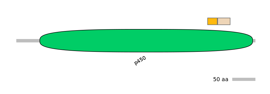 HsaINT0044512-EXC