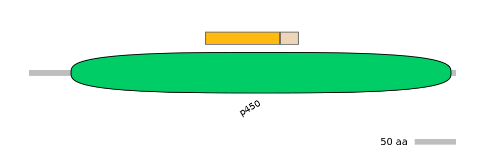 HsaINT0044531-EXC