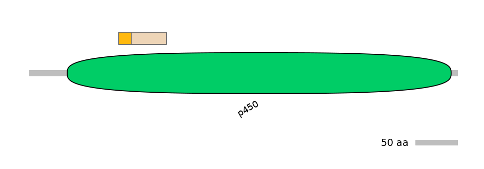 HsaINT0044548-EXC