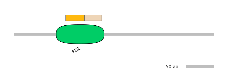 HsaINT0044647-EXC