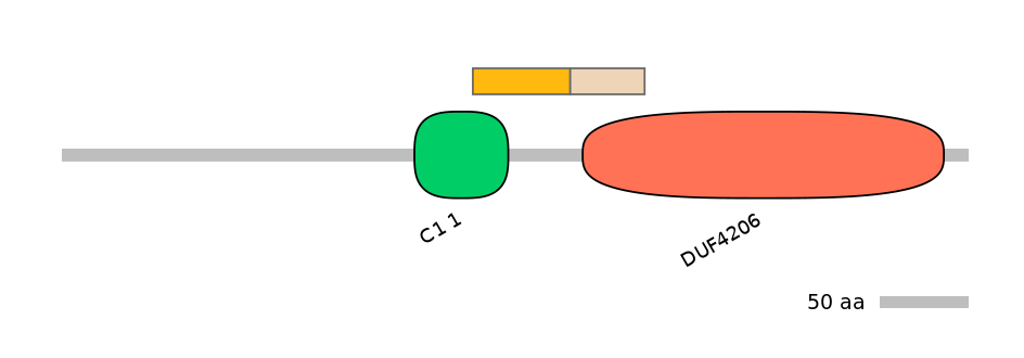 HsaINT0046600-EXC