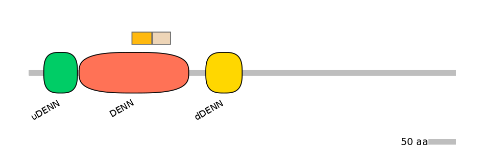 HsaINT0046702-EXC