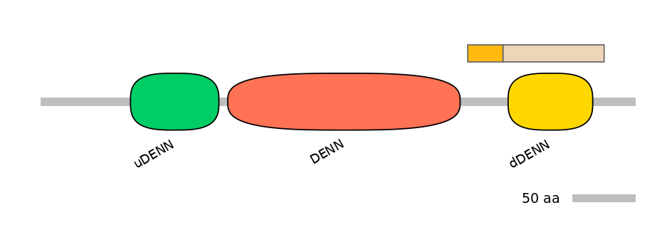 HsaINT0046772-EXC