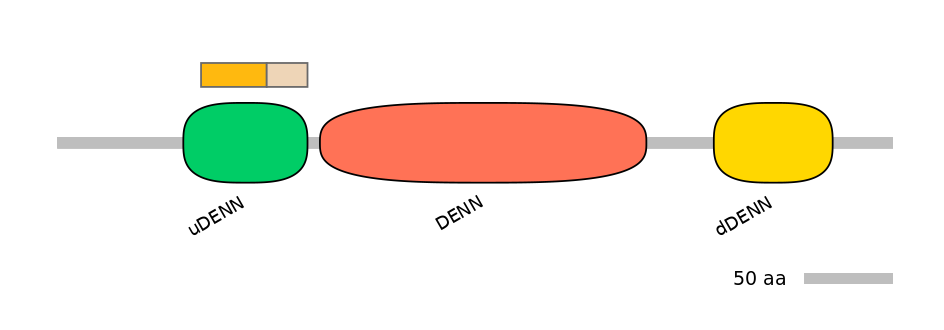 HsaINT0046775-EXC