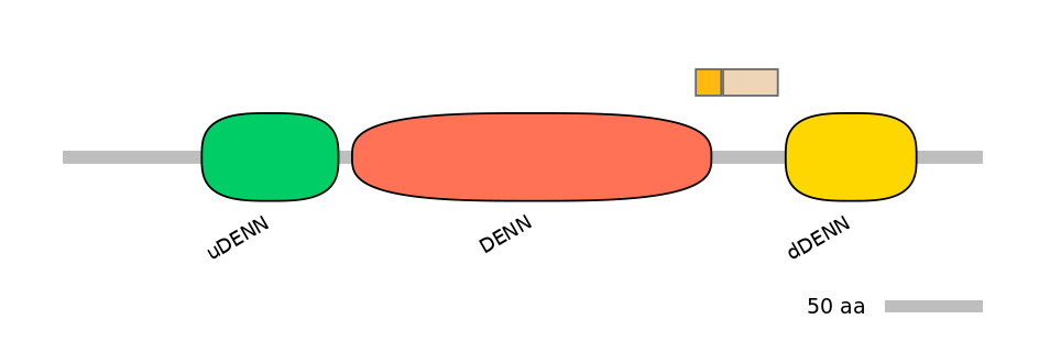 HsaINT0046781-EXC