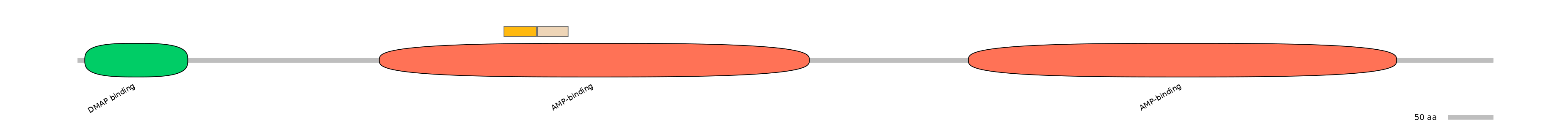 HsaINT0048077-EXC