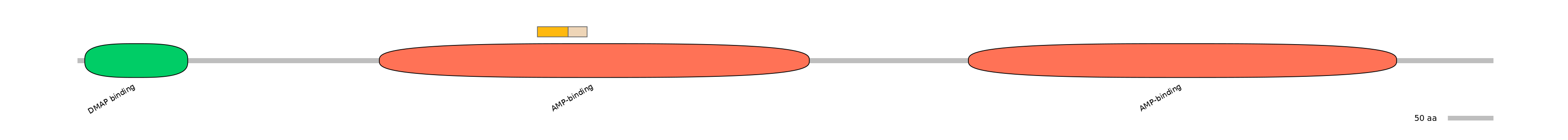 HsaINT0048078-EXC