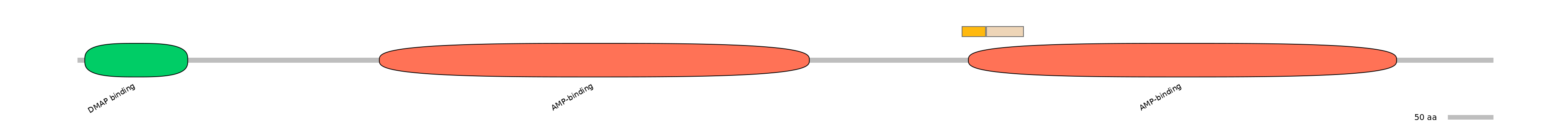 HsaINT0048088-EXC