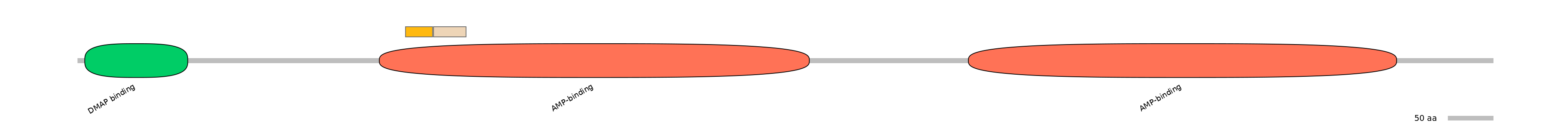 HsaINT0048096-EXC