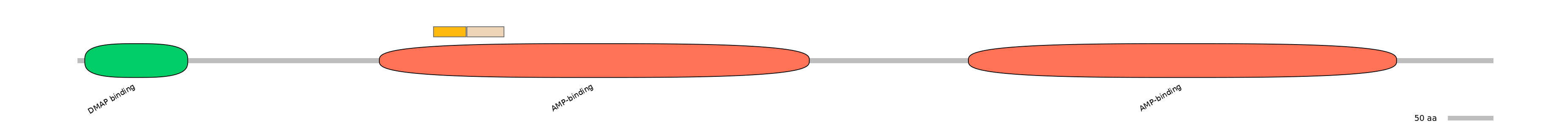 HsaINT0048097-EXC