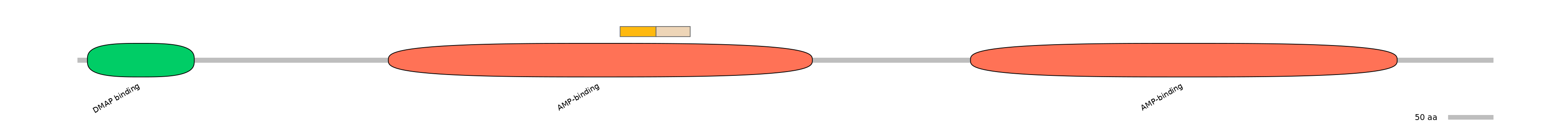 HsaINT0048119-EXC