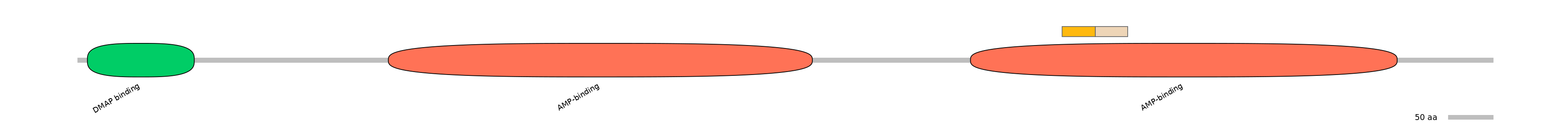HsaINT0048132-EXC