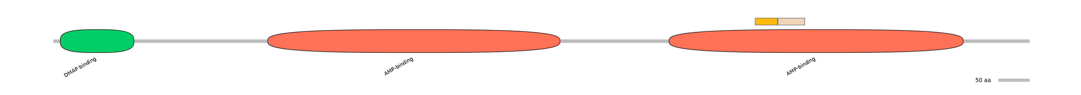 HsaINT0048133-EXC
