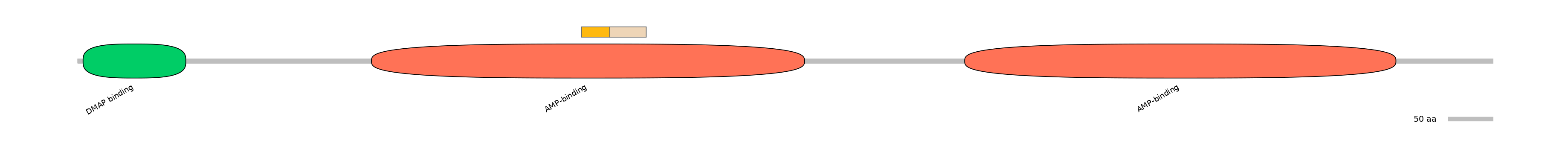 HsaINT0048155-EXC
