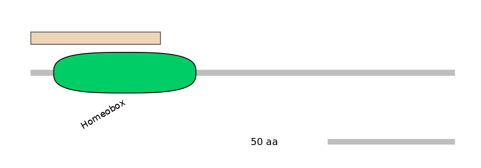 HsaINT0048739-INC