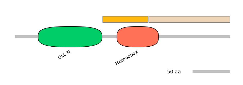 HsaINT0048743-EXC