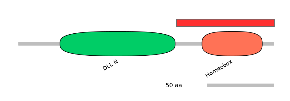 HsaINT0048743-INC