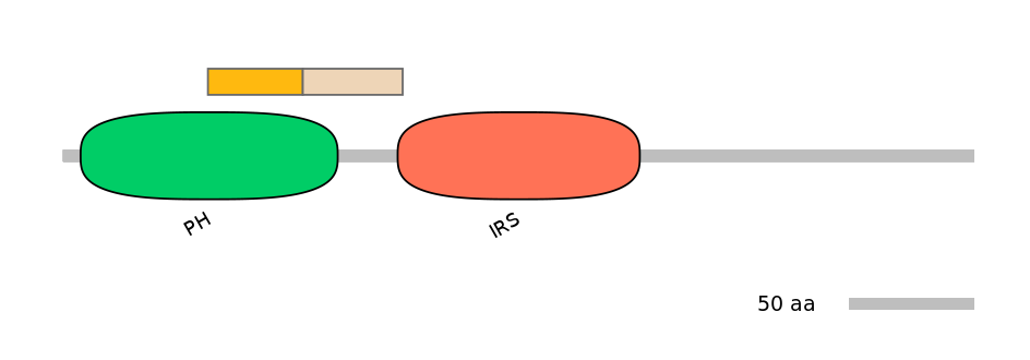 HsaINT0051470-EXC