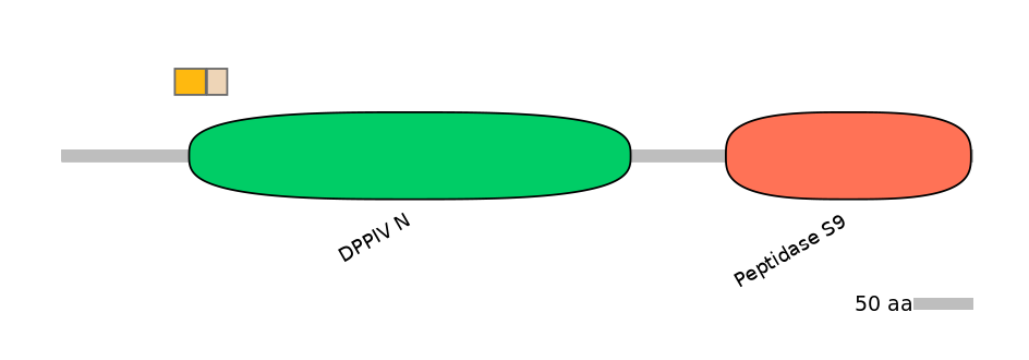 HsaINT0051792-EXC