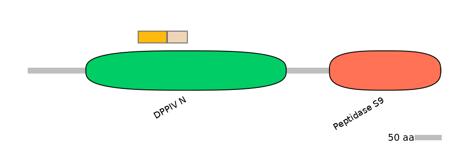HsaINT0051796-EXC