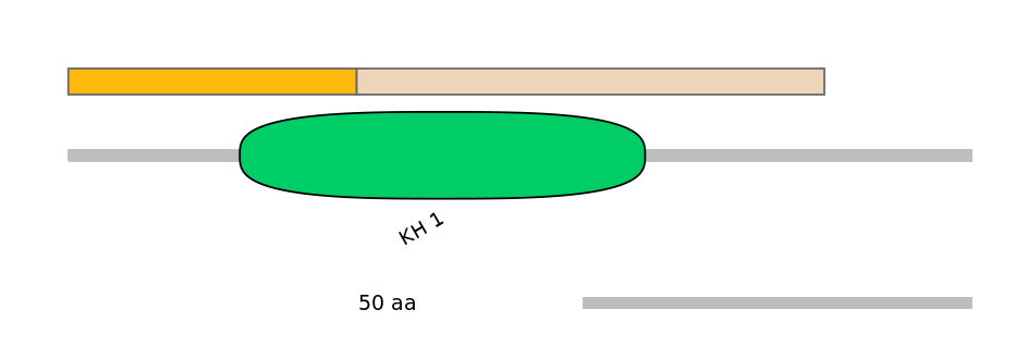 HsaINT0051898-EXC