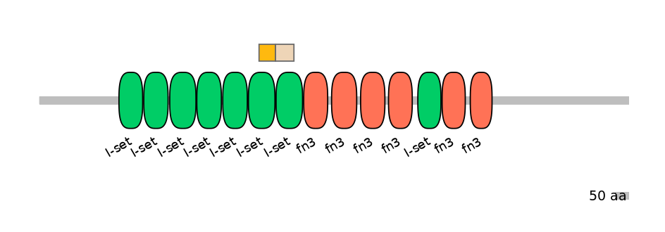 HsaINT0052348-EXC