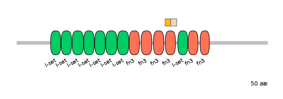 HsaINT0052358-EXC