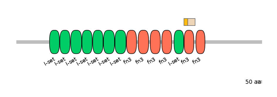 HsaINT0052362-EXC