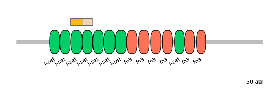 HsaINT0052375-EXC