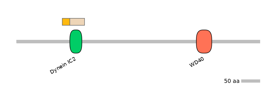 HsaINT0053147-EXC