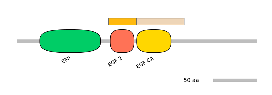 HsaINT0054579-EXC