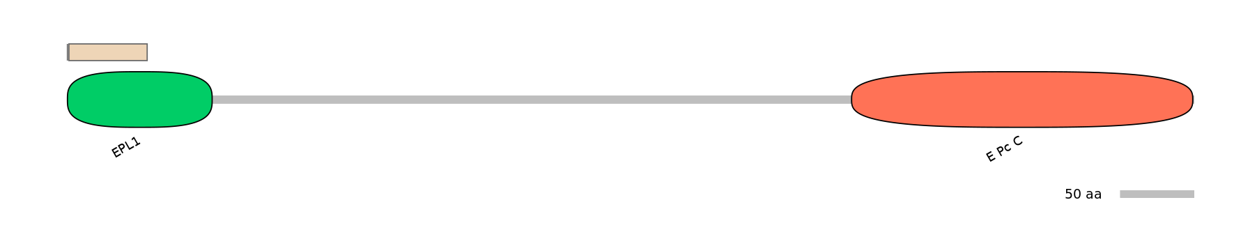 HsaINT0056880-EXC