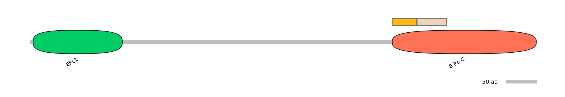 HsaINT0056882-EXC