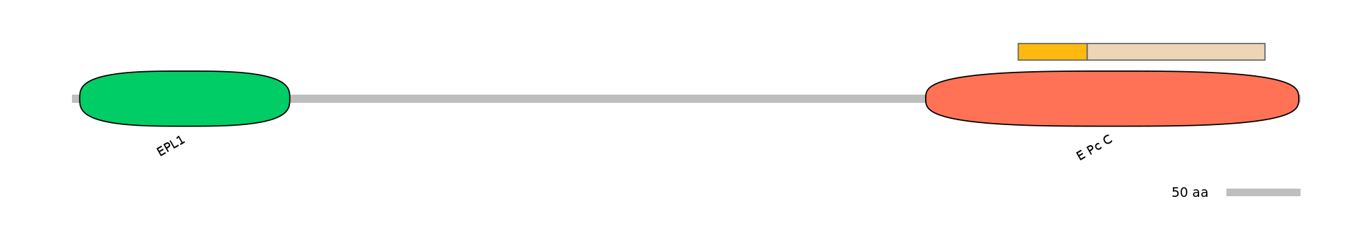 HsaINT0056884-EXC