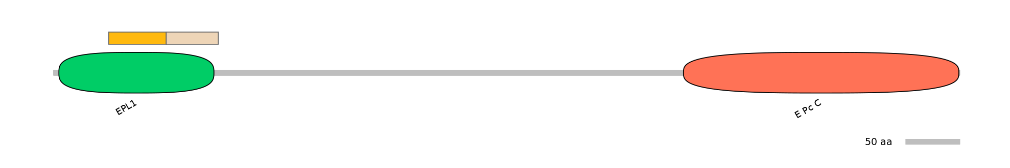 HsaINT0056886-EXC