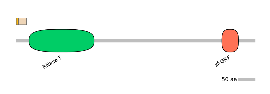 HsaINT0057792-EXC