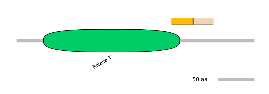 HsaINT0057799-EXC