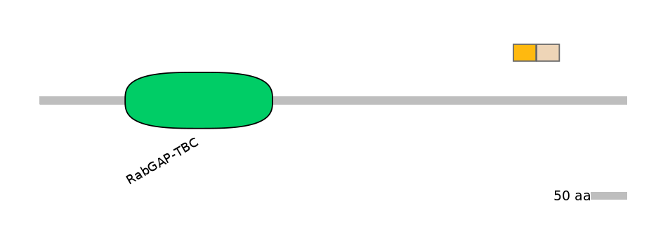 HsaINT0058473-EXC