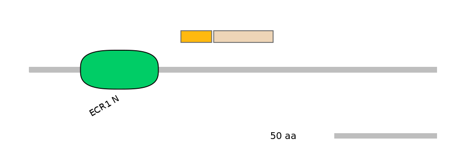 HsaINT0058830-EXC