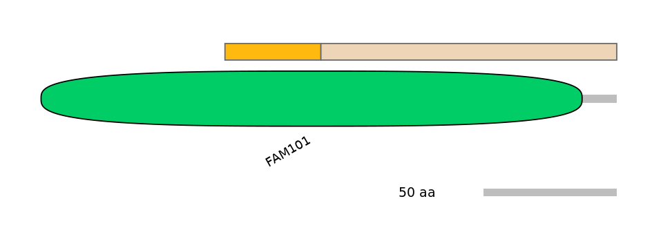 HsaINT0059438-EXC