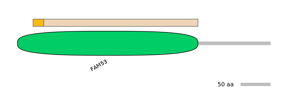 HsaINT0061142-EXC